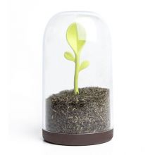 Контейнер для сыпучих продуктов Sprout Jar